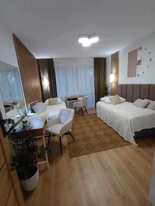 شقة Stary Toruń  في Apartament Podgorna 19 المظهر الخارجي الصورة