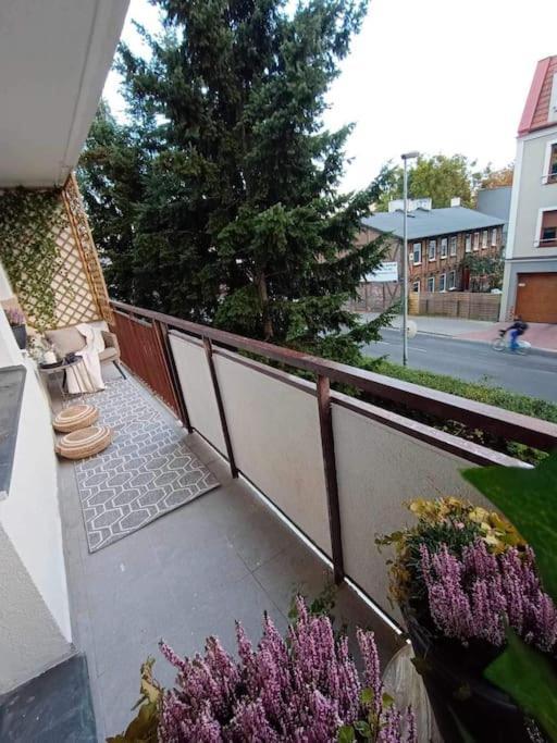 شقة Stary Toruń  في Apartament Podgorna 19 المظهر الخارجي الصورة