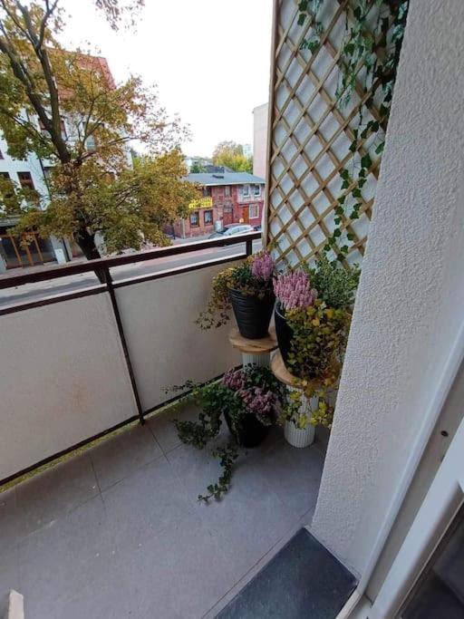 شقة Stary Toruń  في Apartament Podgorna 19 المظهر الخارجي الصورة